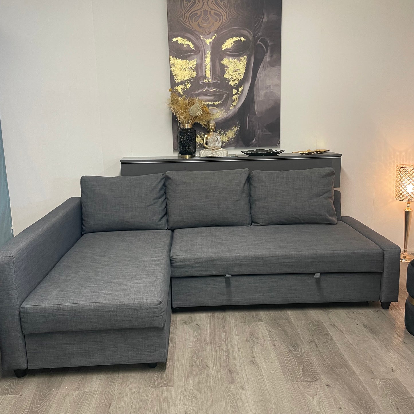 Canapé-lit IKEA FRIHETEN Gris