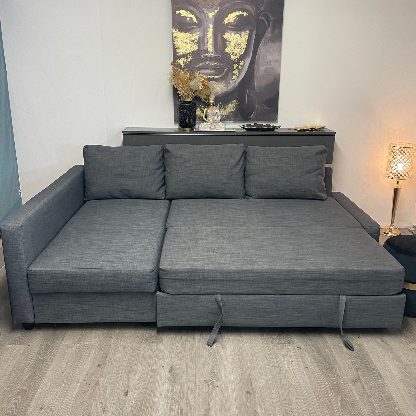 Canapé-lit IKEA FRIHETEN Gris