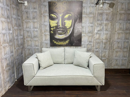 Carter sofa bed like new 